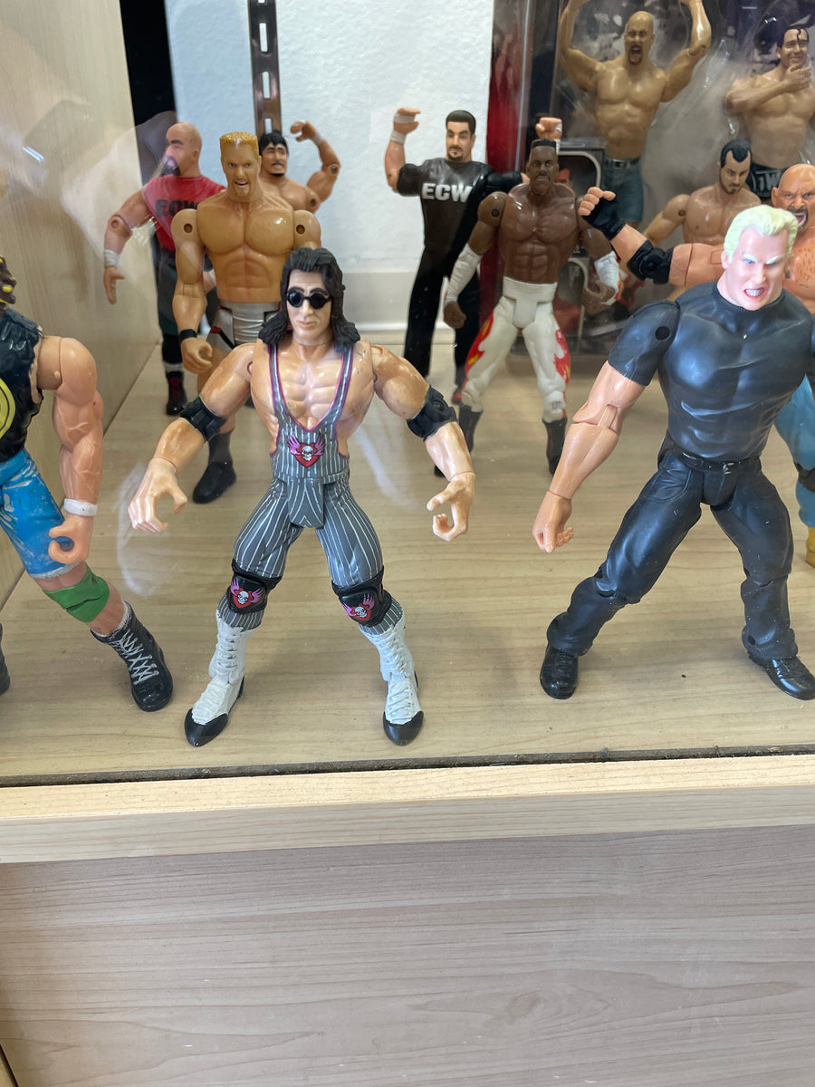 Ecw action figures hotsell
