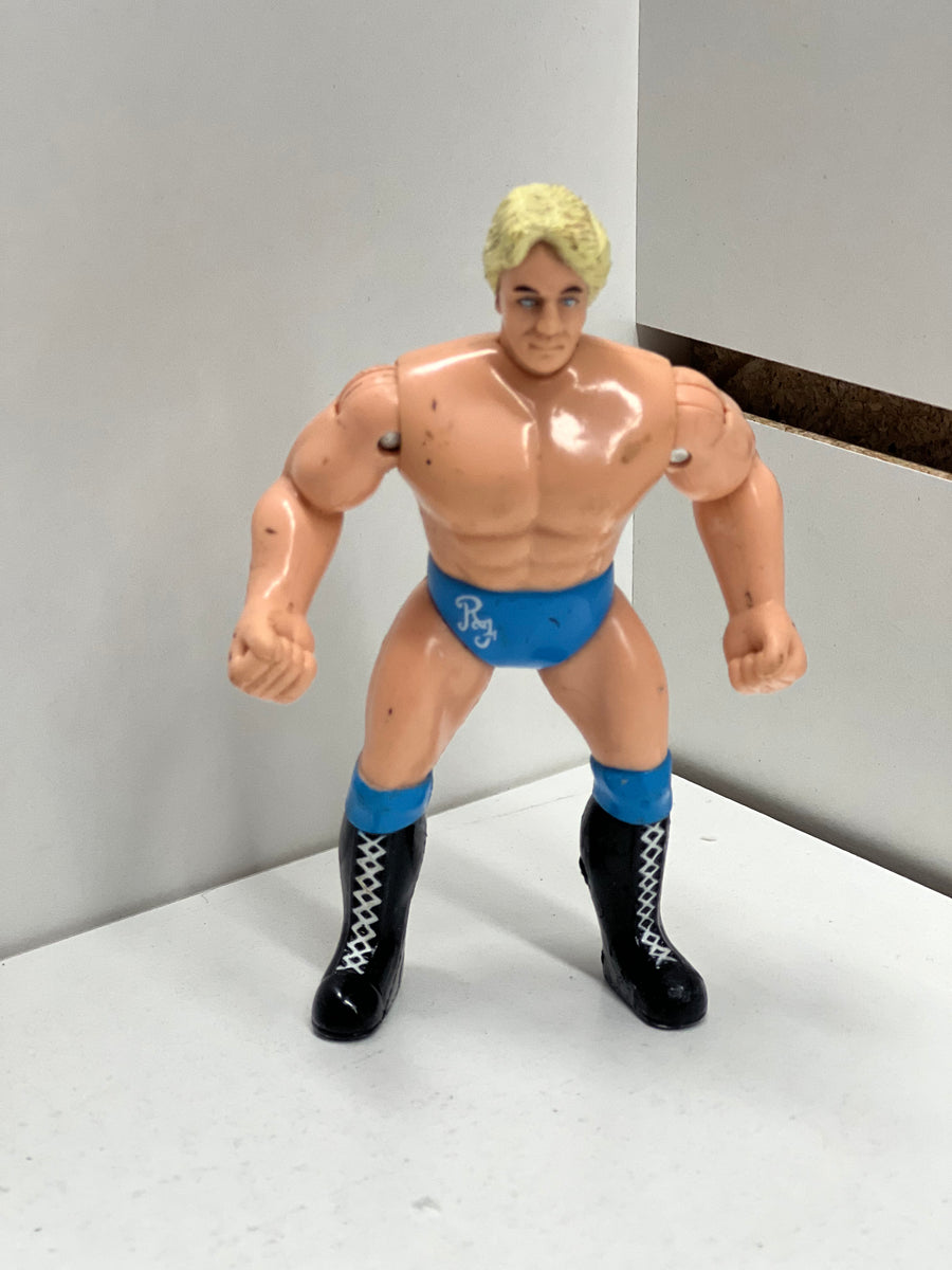 WCW Ric Flair (mini) Jimmys World Order jWo