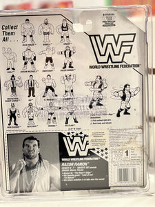 Hasbro Razor Ramon