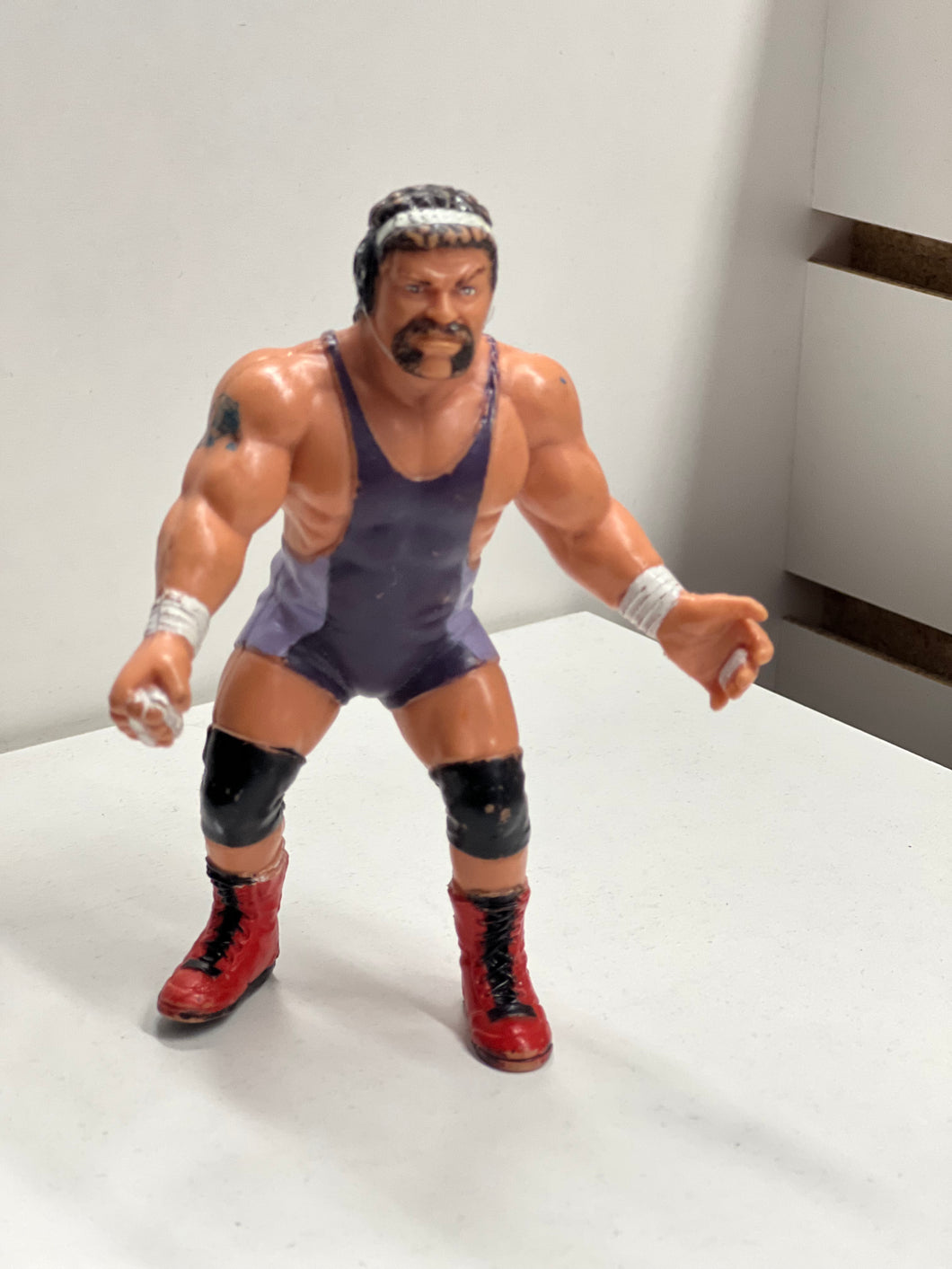 WCW Rick Steiner